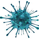 ИНФЕКЦИЯ, ИММУНИТЕТ и ФАРМАКОЛОГИЯ